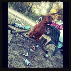 Meet your Posher, Terri